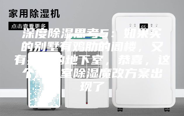 深度除濕思考5:如果買的別墅有雞肋的閣樓,又有操心的地下室,恭喜,這個地下室除濕魔改方案出現(xiàn)了