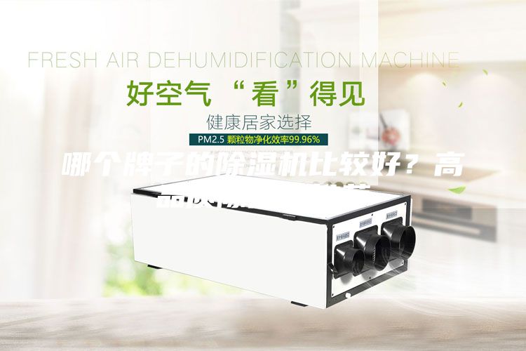 哪個牌子的除濕機比較好？高品質除濕機推薦