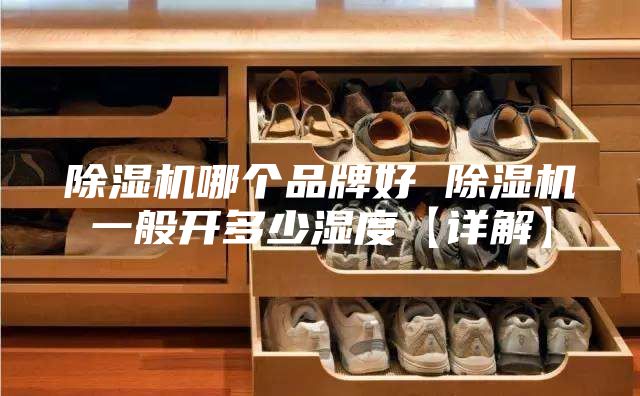除濕機(jī)哪個品牌好 除濕機(jī)一般開多少濕度【詳解】
