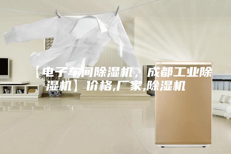 【電子車間除濕機(jī)，成都工業(yè)除濕機(jī)】價格,廠家,除濕機(jī)