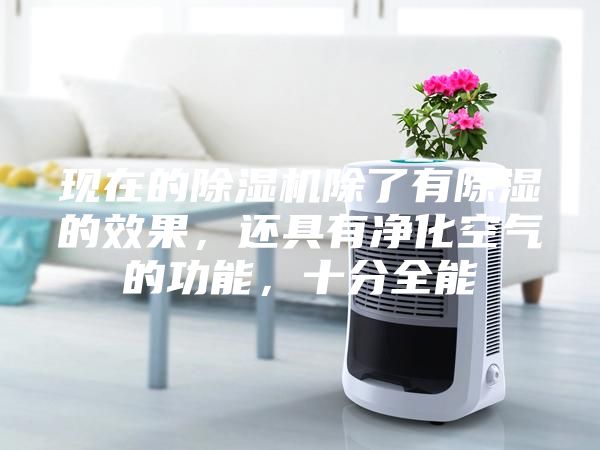 現在的除濕機除了有除濕的效果,還具有凈化空氣的功能,十分全能