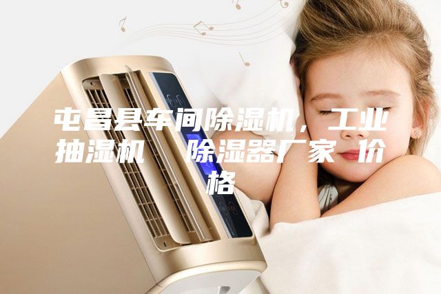 屯昌縣車間除濕機，工業抽濕機  除濕器廠家 價格