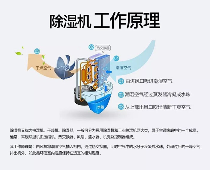 轉輪除濕機相比傳統除濕機勝在何處？