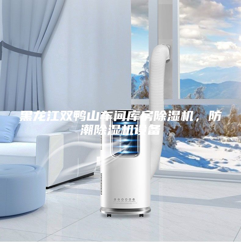 黑龍江雙鴨山車間庫(kù)房除濕機(jī)，防潮除濕機(jī)設(shè)備