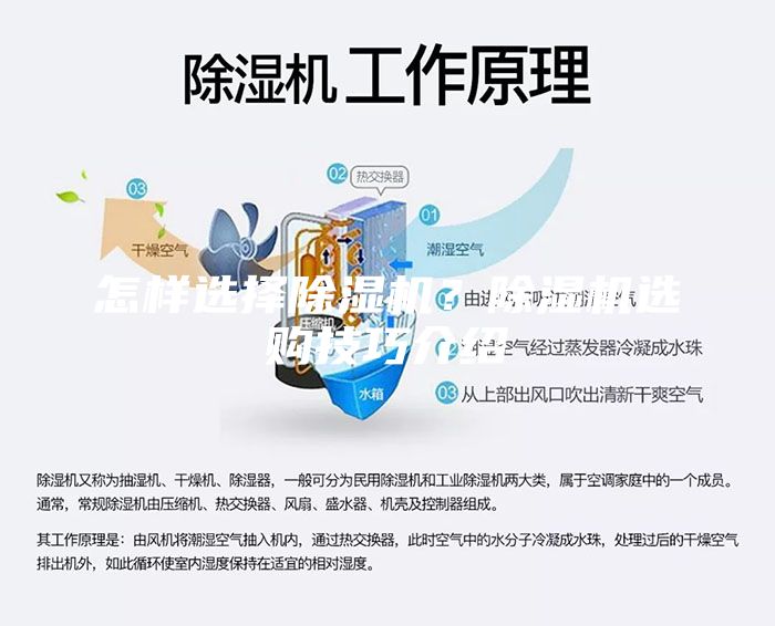 怎樣選擇除濕機(jī)？除濕機(jī)選購技巧介紹