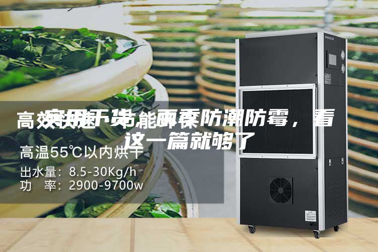 實(shí)用干貨,雨季防潮防霉,看這一篇就夠了