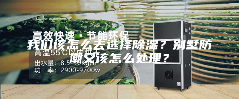 我們該怎么去選擇除濕？別墅防潮又該怎么處理？
