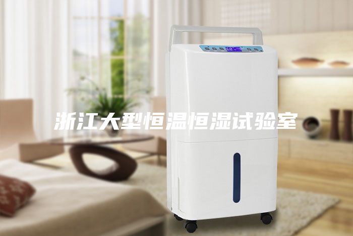 浙江大型恒溫恒濕試驗(yàn)室