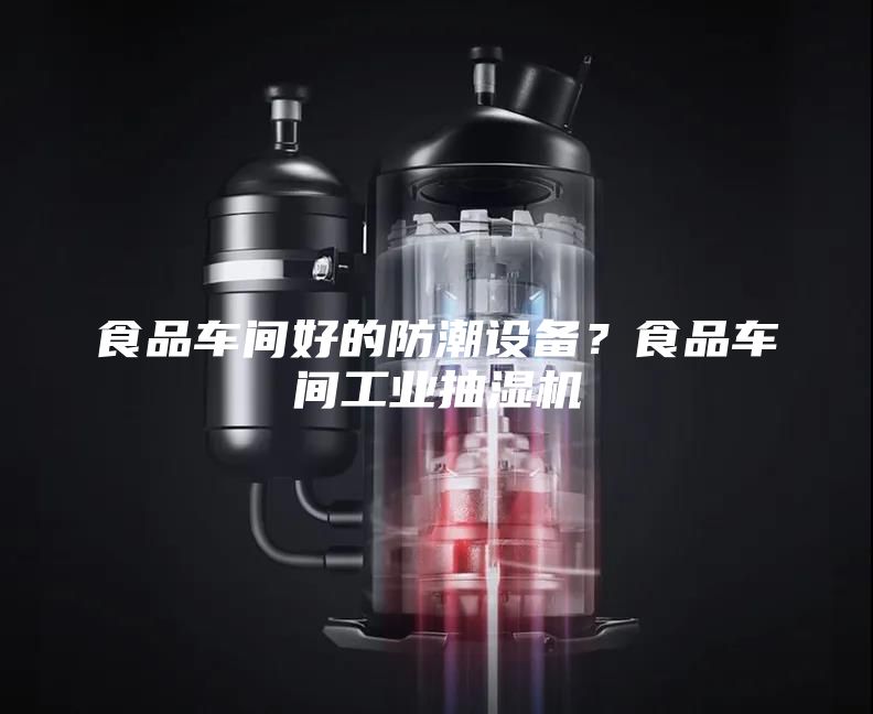食品車間好的防潮設(shè)備?食品車間工業(yè)抽濕機(jī)