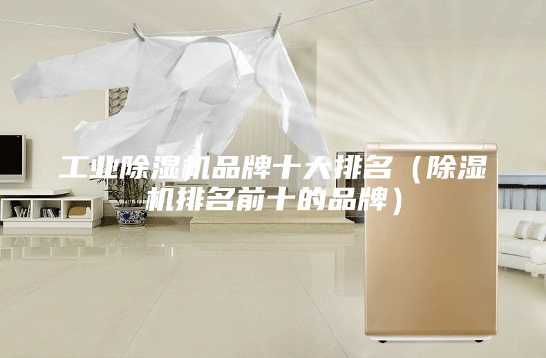 工業除濕機品牌十大排名(除濕機排名前十的品牌)