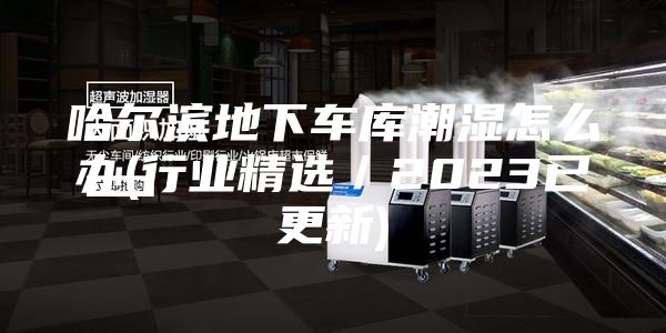哈爾濱地下車庫潮濕怎么辦(行業精選/2023已更新)