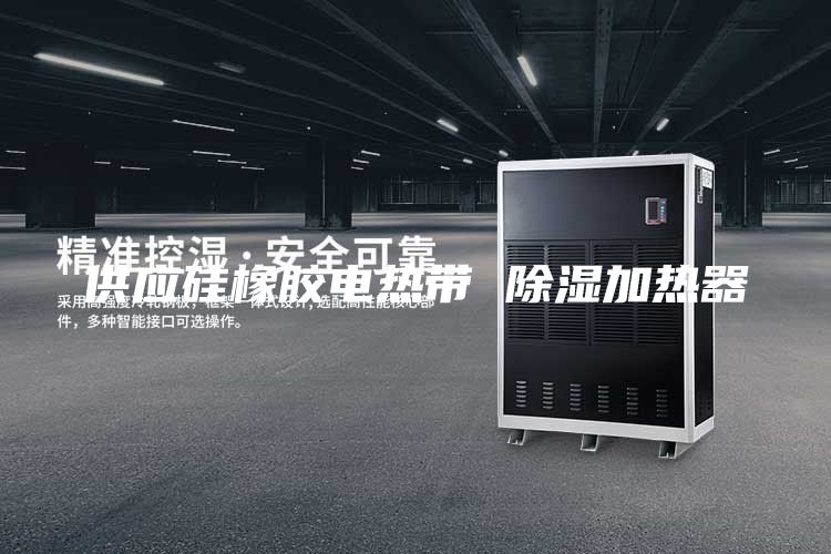 供應硅橡膠電熱帶 除濕加熱器