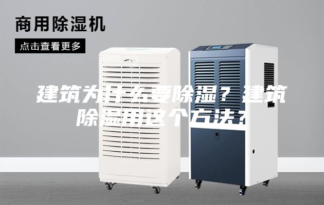 建筑為什么要除濕？建筑除濕用這個方法？