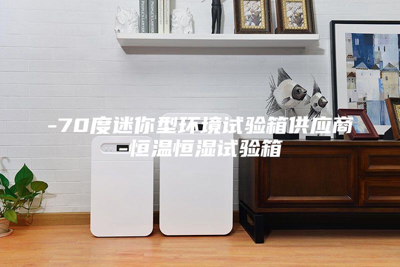 -70度迷你型環(huán)境試驗(yàn)箱供應(yīng)商-恒溫恒濕試驗(yàn)箱