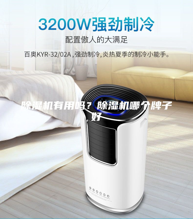 除濕機有用嗎？除濕機哪個牌子好