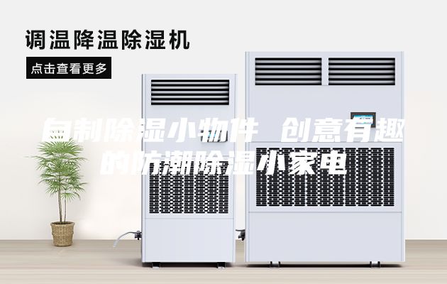 自制除濕小物件 創(chuàng)意有趣的防潮除濕小家電