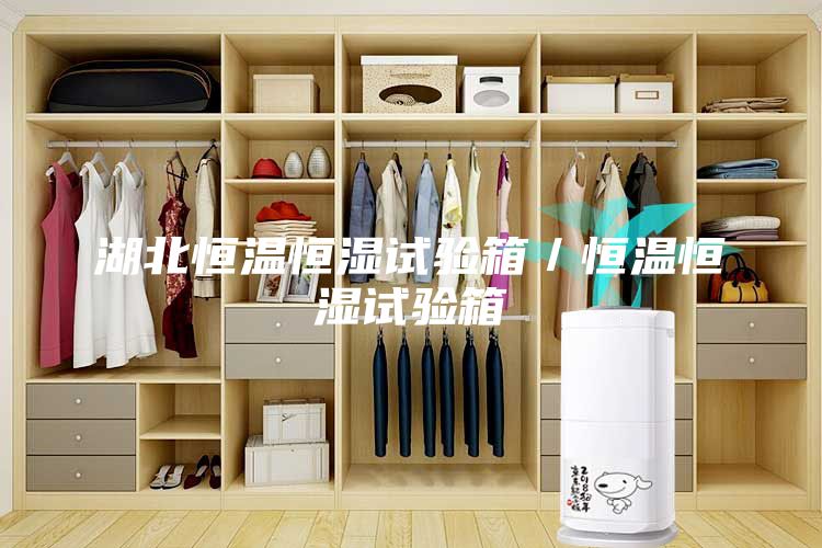 湖北恒溫恒濕試驗(yàn)箱／恒溫恒濕試驗(yàn)箱