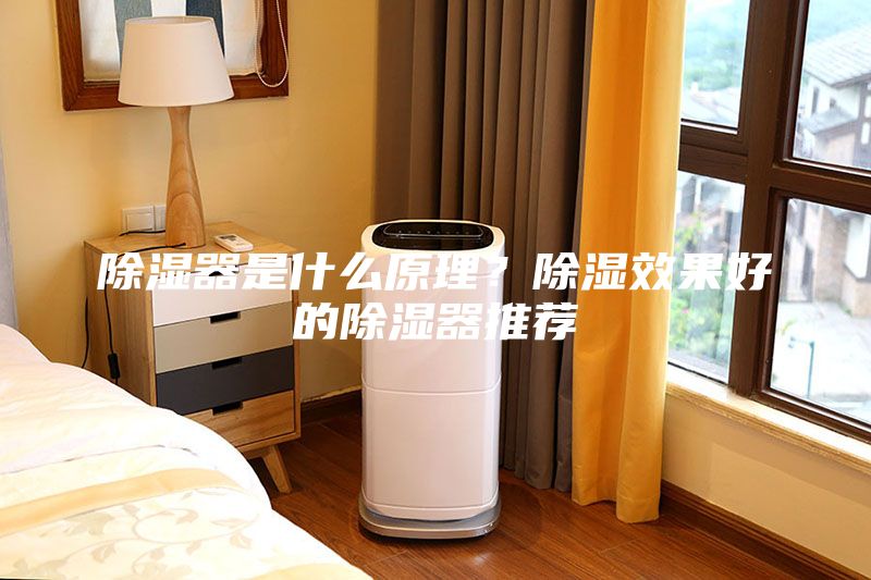 除濕器是什么原理？除濕效果好的除濕器推薦