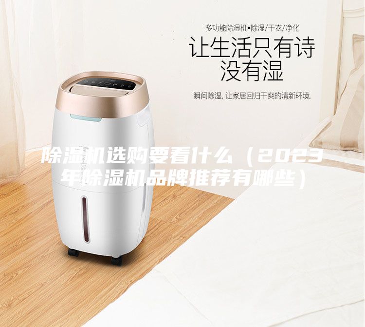 除濕機選購要看什么（2023年除濕機品牌推薦有哪些）